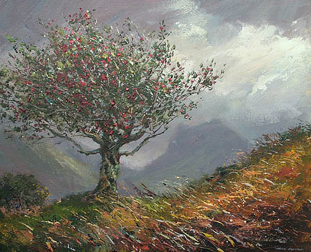Mark Preston - Holly Tree, Fleetwith Pike