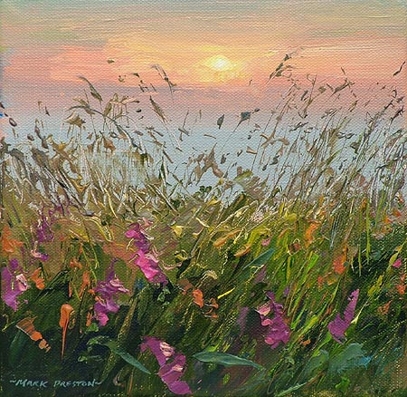 Mark Preston - Summer Sundown, Cornwall