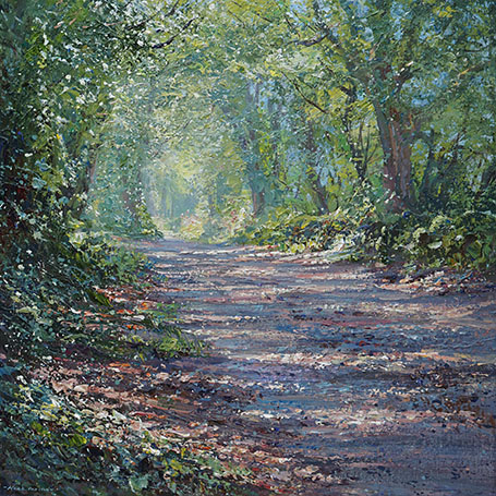Sunlit Lane, Ashleyhay